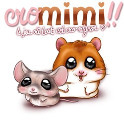 Il simbolo di Cromimi!